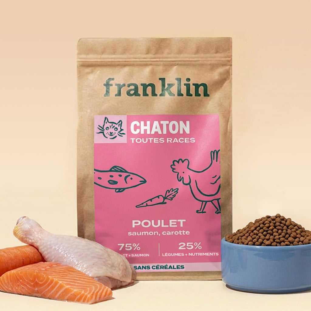 Croquettes chaton non stérilisé poulet carotte