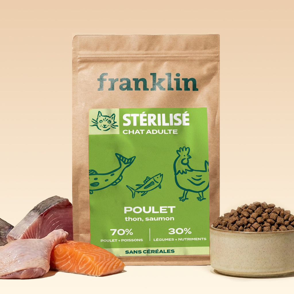 Croquettes chat adulte stérilisé poulet