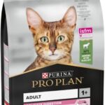 Pro Plan