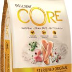 WELLNESS CORE