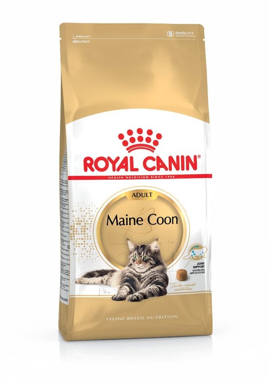 Royal canin croquettes maine coon pour chat adulte