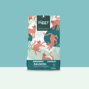 Ziggy - Croquettes chat adulte stérilisé au saumon