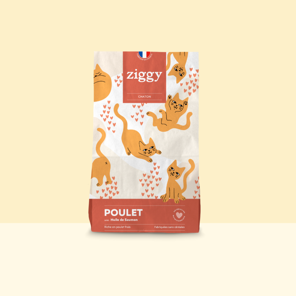 Croquettes pour chaton au poulet et huile de saumon