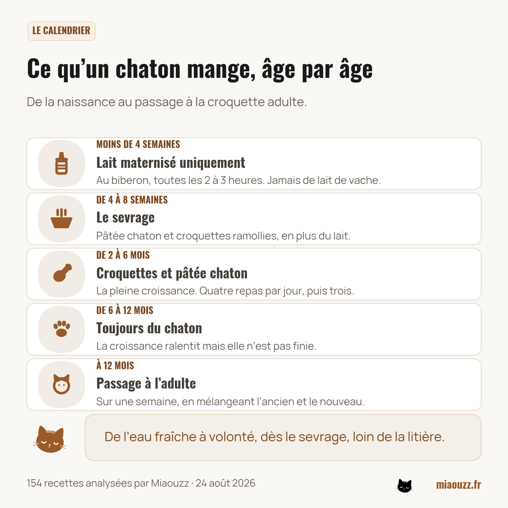 Calendrier alimentaire du chaton : lait maternisé avant 4 semaines, sevrage de 4 à 8 semaines, croquettes chaton de 2 à 12 mois
