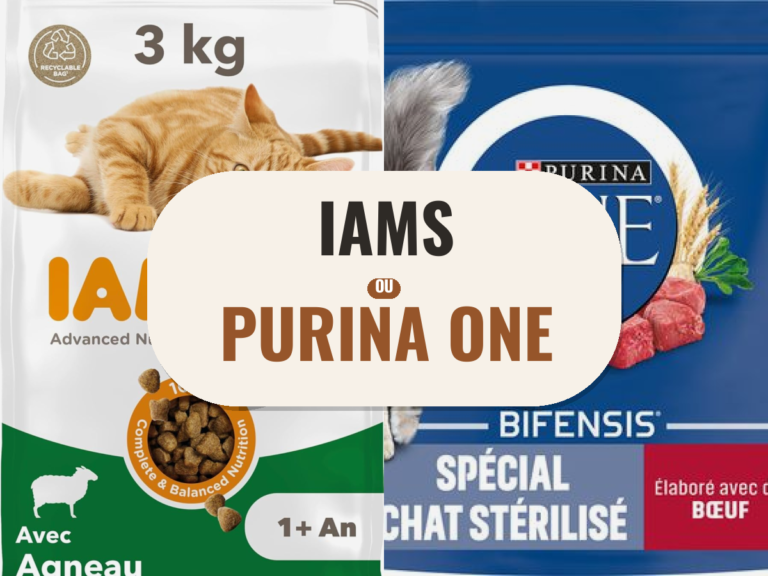 Croquettes Iams et Purina ONE côte à côte