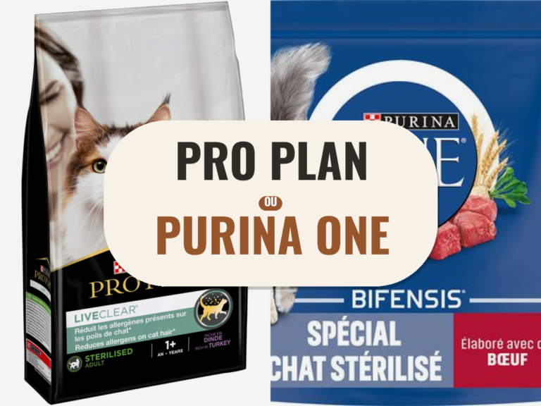 Croquettes Pro Plan et Purina ONE côte à côte