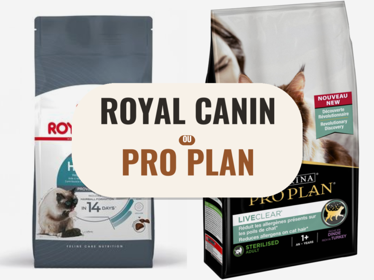 Croquettes Royal Canin et Pro Plan côte à côte